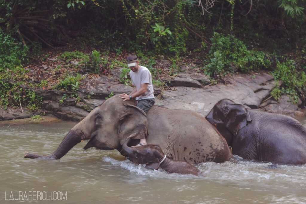 elephantriver