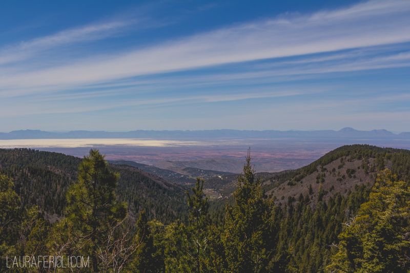 cloudcroft new mexico