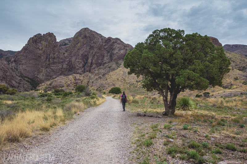 Jude on the Dripping Springs Trail