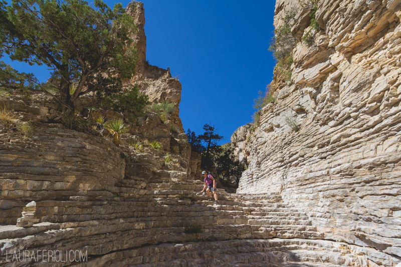 jude at guadalupe NP