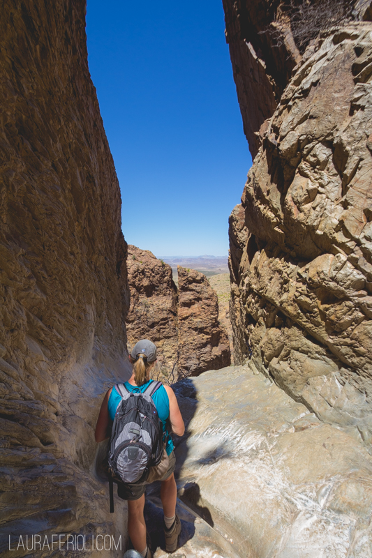 window trail big bend