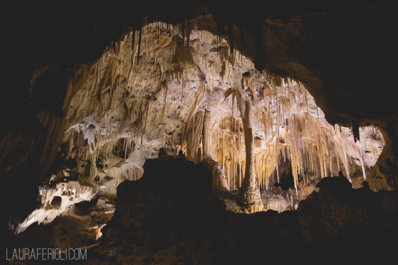 Carlsbad Caverns NP