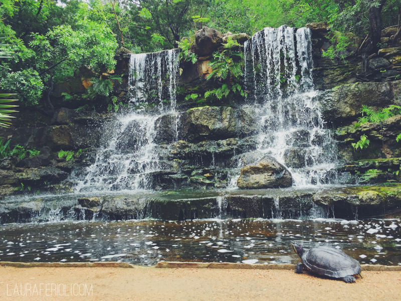 Zilker Botanical Gardens